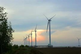 (Ảnh minh họa. Ngọc Hà/TTXVN)