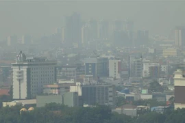 Khói mù ô nhiễm bao phủ Jakarta, Indonesia, ngày 24/7/2019. (Ảnh: AFP/TTXVN)