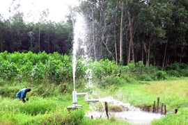 Nước khoáng từ giếng khoan phun trào gây thất thoát nguồn nước. (Ảnh: Phước Ngọc/TTXVN)