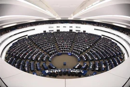 Toàn cảnh cuộc họp Nghị viện châu Âu tại Strasbourg, miền Đông nước Pháp, ngày 11/12/2018. (Ảnh: AFP/TTXVN)