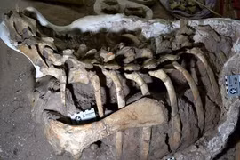 (Nguồn: diariodenavarra.es)