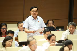 Đại biểu Quốc hội tỉnh Quảng Trị Hoàng Đức Thắng phát biểu ý kiến. (Ảnh: Doãn Tấn/TTXVN)