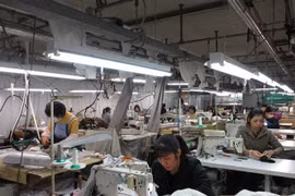 Các thực tập sinh làm việc tại Nhật Bản. (Ảnh minh họa. Đào Thanh Tùng/TTXVN)