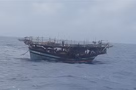 (Ảnh minh họa. TTXVN phát)