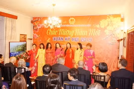 Tiết mục văn nghệ của cồng đồng người Việt tại Cộng hòa Séc. (Ảnh: Hồng Kỳ/Vietnam+)