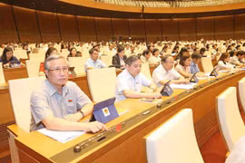 Đoàn đại biểu quốc hội tỉnh Yên Bái tham gia biểu quyết. (Ảnh: Doãn Tấn/TTXVN)