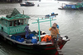 (Ảnh minh họa. Đức Hiếu/TTXVN)