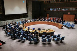 Toàn cảnh phiên họp Hội đồng Bảo an ở New York (Mỹ). (Ảnh: THX/TTXVN)