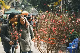 (Ảnh minh họa. Nguồn: Báo Ảnh Việt Nam)