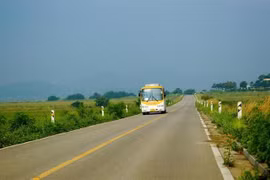 (Nguồn: notimerica.com)