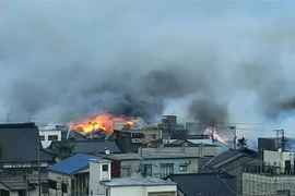 Ảnh minh họa. (Nguồn: AFP/TTXVN)