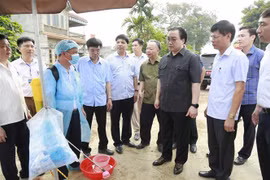 (Ảnh: Đỗ Phương Anh/TTXVN)