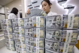 Ảnh minh họa. (Nguồn: EPA/TTXVN)