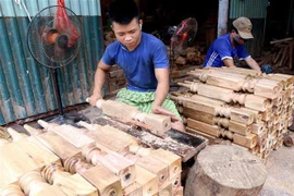 (Ảnh minh họa. Vũ Sinh/TTXVN)