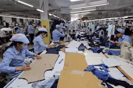 Việt Nam - đối tác thương mại quan trọng, nhiều tiềm năng của Paraguay