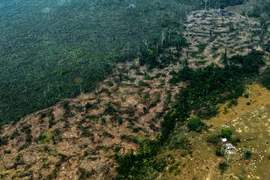 Một khoảng rừng mưa Amazon ở bang Amazonas, Brazil ngày 24/8/2019. (Ảnh: AFP/TTXVN)