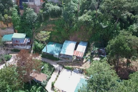 [Photo] Hàng loạt nhà không phép mọc giữa rừng thông tại Đà Lạt