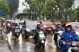 (Ảnh minh họa: Thành Đạt/TTXVN)