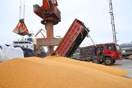 Bốc dỡ đậu tương nhập khẩu tại cảng Nam Thông thuộc tỉnh Giang Tô, Trung Quốc. (Ảnh: AFP/TTXVN)