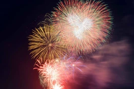 ắn pháo hoa tầm cao ở khu vực đầu đường hầm vượt sông Sài Gòn (quận 2). (Ảnh: Mạnh Linh/TTXVN)