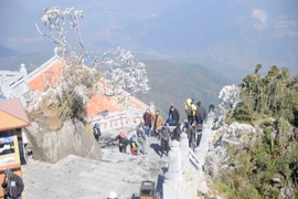 (Ảnh minh họa: Hương Thu/TTXVN)