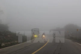 Ảnh chỉ có tính minh họa. (Ảnh: Công Luật/TTXVN)