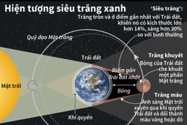 (Nhấp chuột để xem kích thước chuẩn)