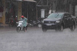 Ảnh chỉ có tính minh họa. (Ảnh: Phạm Cường/TTXVN)