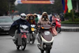 Ảnh minh họa. (Nguồn: TTXVN)