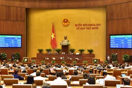 Quang cảnh buổi họp chiều 11/11. (Ảnh: Dương Giang/TTXVN)