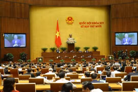 Quang cảnh phiên họp. (Ảnh: Doãn Tấn/TTXVN)