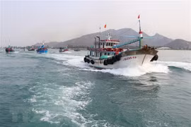 Đội tàu cá tỉnh Ninh Thuận vươn khơi khai thác hải sản. (Ảnh: Nguyễn Thành/TTXVN)