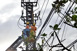 Công nhân Điện lực. (Ảnh minh họa: TTXVN phát)