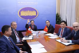 Thứ trưởng Thường trực Bộ Ngoại giao Bùi Thanh Sơn đồng chủ trì họp tham khảo chính trị cấp Thứ trưởng Ngoại giao Việt Nam và Peru theo hình thức trực tuyến. (Ảnh: Lâm Khánh/TTXVN)