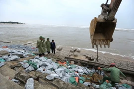 Lực lượng của huyện, xã tích khẩn trương khắc phục điểm sạt lở tại kè Cẩm Nhượng, huyện Cẩm Xuyên. (Ảnh: Minh Quyết/TTXVN)