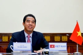 Thứ trưởng Bộ Ngoại giao Tô Anh Dũng. (Ảnh: TTXVN phát)