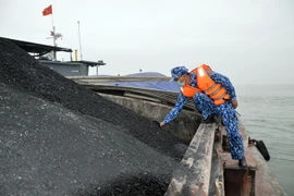 Theo khai báo, đây là số than cám được mua trôi nổi trên biển. (Ảnh: TTXVN)