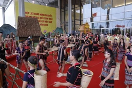 Chương trình biểu diễn văn hóa nghệ thuật truyền thống các dân tộc thiếu số tại Đại hội đại biểu các dân tộc thiểu số Việt Nam lần thứ II năm 2020. (Ảnh: Dương Giang/TTXVN)