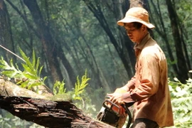 Công nhân đang cưa cắt cao su tại vùng dự án sân bay Long Thành. (Ảnh: Công Phong/TTXVN)