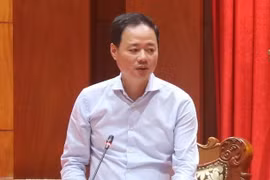 Giáo sư, Tiến sỹ Trần Hồng Thái. (Ảnh Minh Trí/TTXVN)