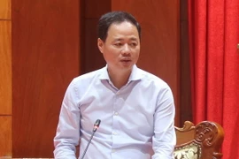 Giáo sư, Tiến sỹ Trần Hồng Thái. (Ảnh Minh Trí/TTXVN)