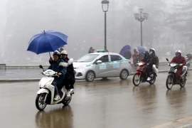 Sương mù dày đặc tại thị xã Sa Pa ảnh hưởng đến tầm nhìn của các phương tiện tham gia giao thông. (Ảnh: Quốc Khánh/TTXVN)