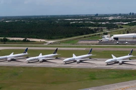 Máy bay của hãng hàng không United Airlines đỗ tại sân bay quốc tế George Bush, bang Texas, Mỹ. (Ảnh: AFP/TTXVN)