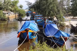 Tàu thuyền ngư dân xã Gio Việt đã vào neo đậu tránh trú an toàn tại các luồng lạch. (Ảnh: Hồ Cầu/TTXVN)
