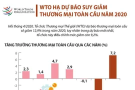 WTO hạ dự báo suy giảm thương mại toàn cầu năm 2020
