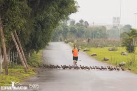Khu đô thị cũng chú trọng tạo khoảng xanh rộng lớn để thu hút các loài chim tự nhiên đến sinh sống.
