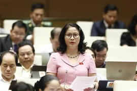 Đại biểu Quốc hội thành phố Hà Nội Nguyễn Thị Lan phát biểu. (Ảnh: An Đăng/TTXVN)