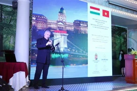 Nghệ sỹ nổi tiếng Hungary Jozef Terek trình diễn âm nhạc bằng loại nhạc cụ truyền thống Torogato. (Ảnh: Xuân Khu/TTXVN)