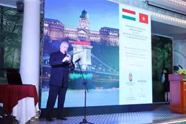 Nghệ sỹ nổi tiếng Hungary Jozef Terek trình diễn âm nhạc bằng loại nhạc cụ truyền thống Torogato. (Ảnh: Xuân Khu/TTXVN)