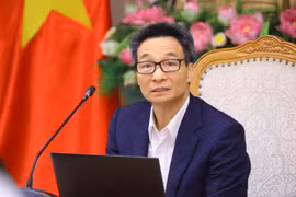 Phó Thủ tướng Vũ Đức Đam. (Nguồn: TTXVN)